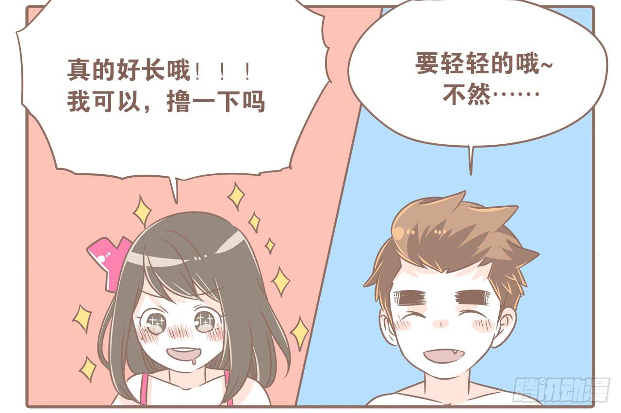 猫奴的生活16