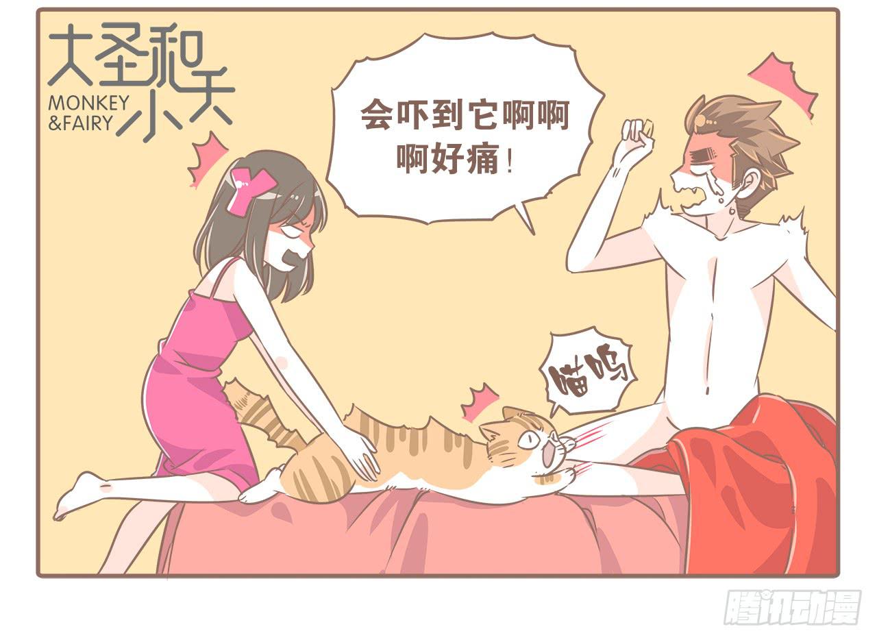 猫奴的生活17