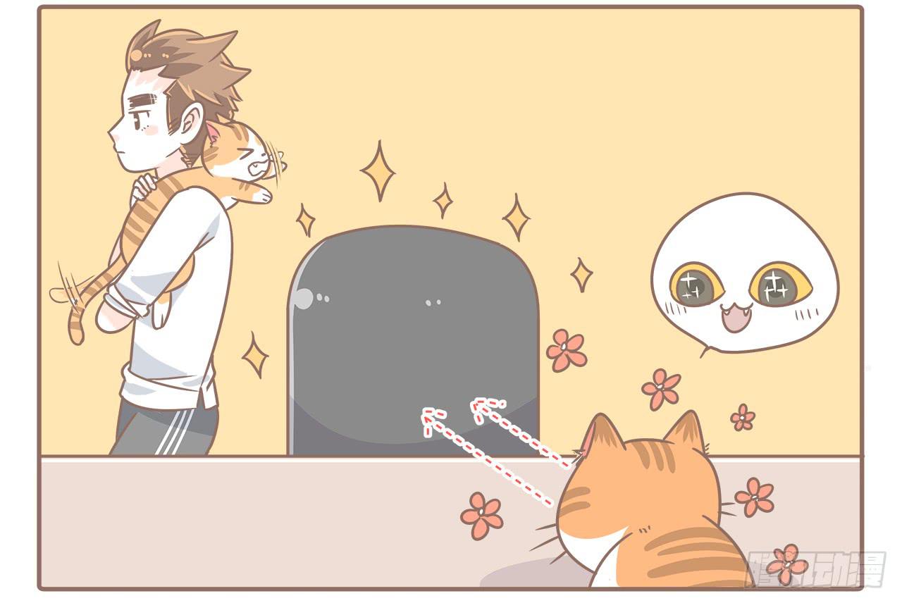 猫奴的生活2