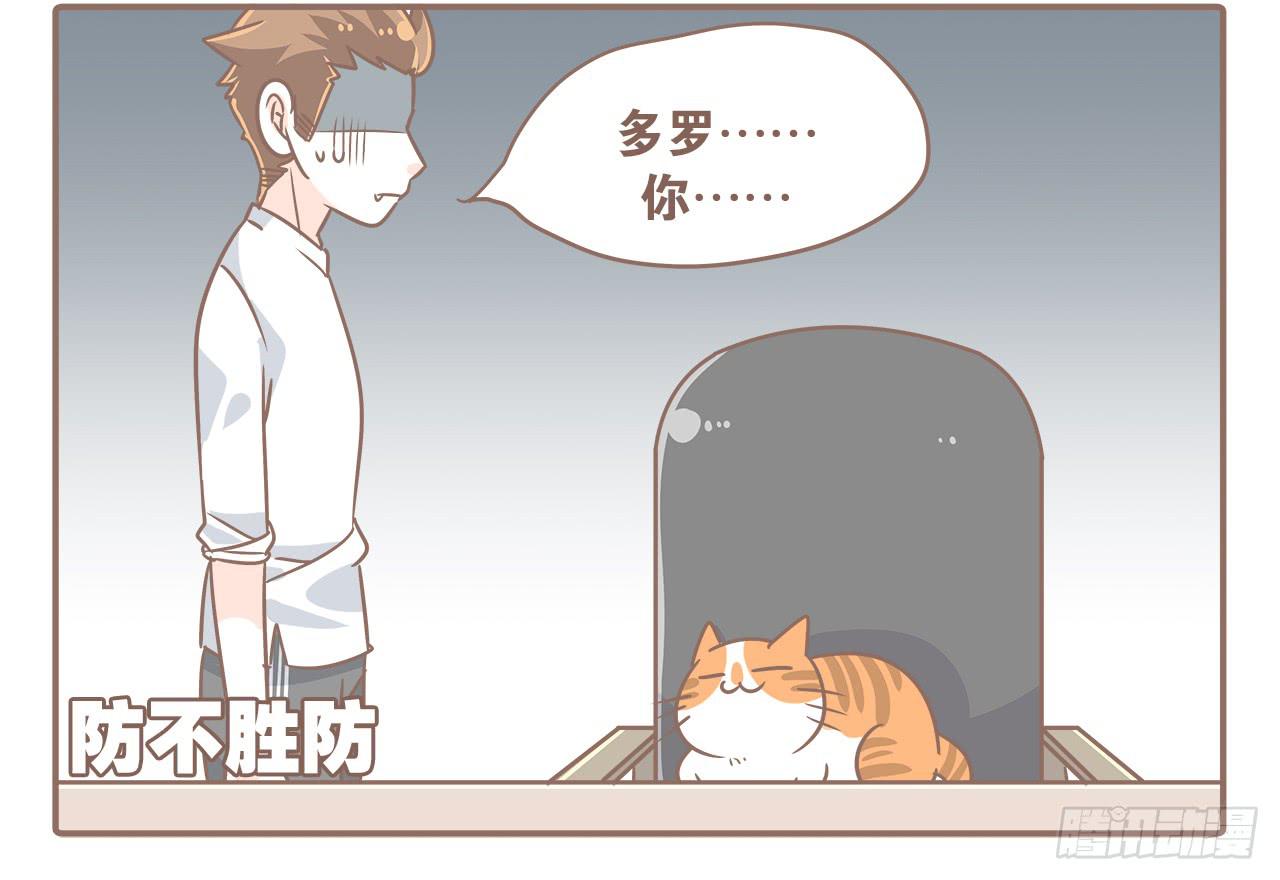 猫奴的生活3