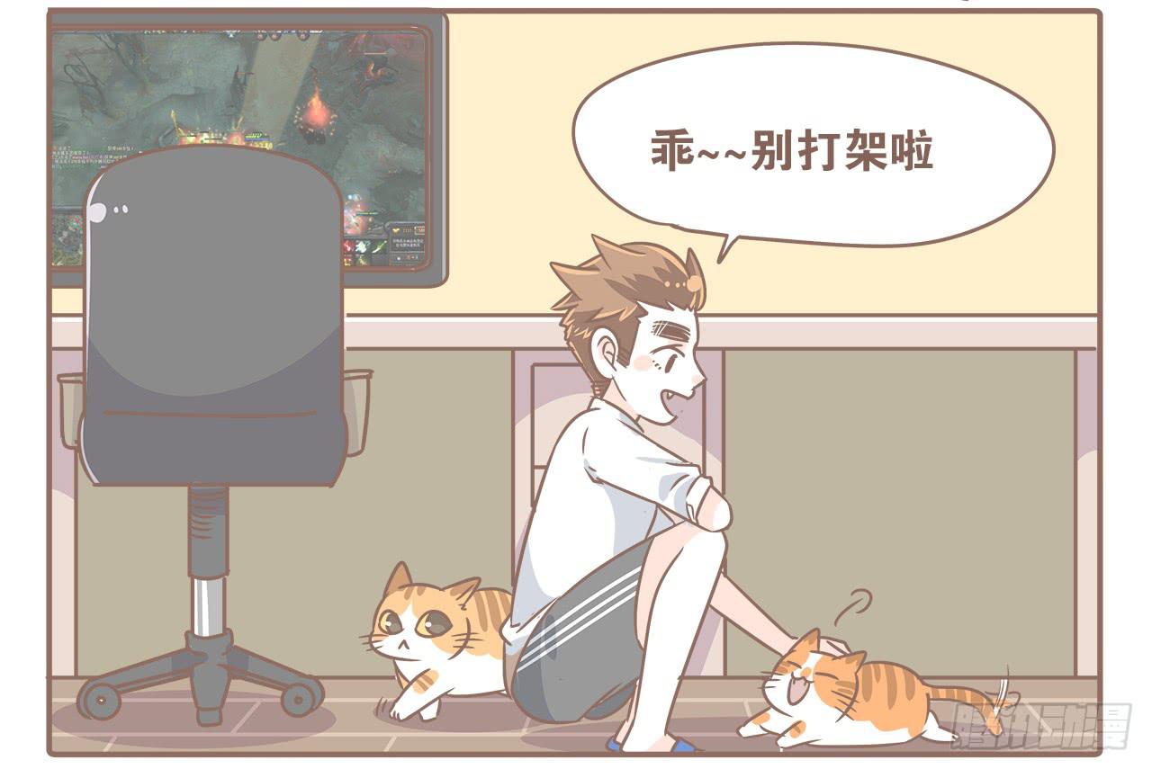 猫奴的生活5