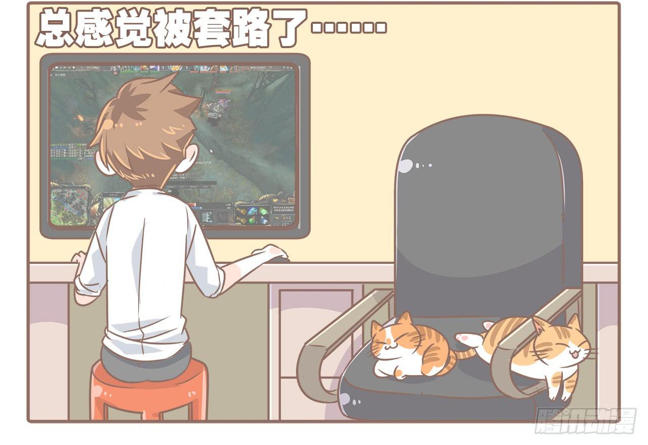 猫奴的生活7