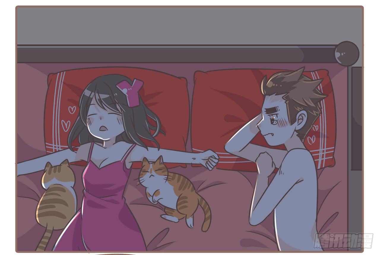 猫奴的生活8