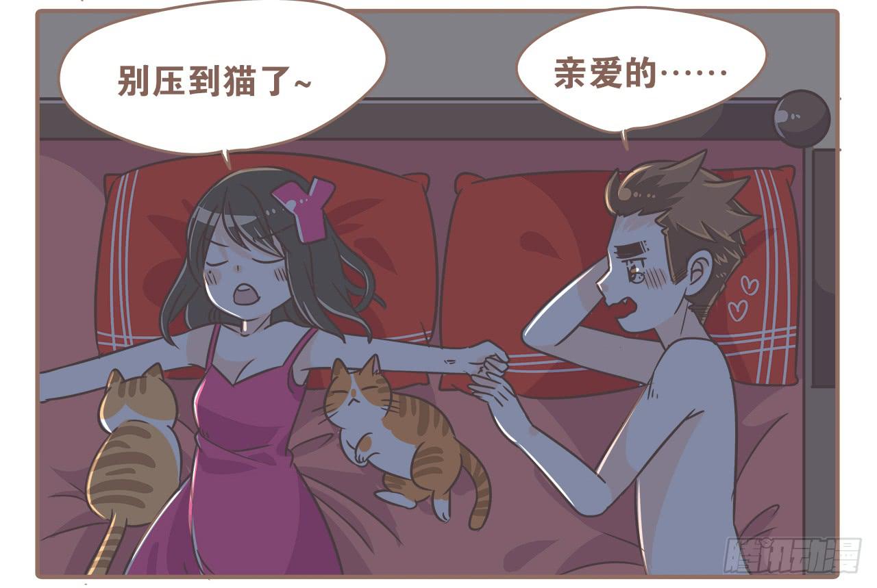 猫奴的生活9