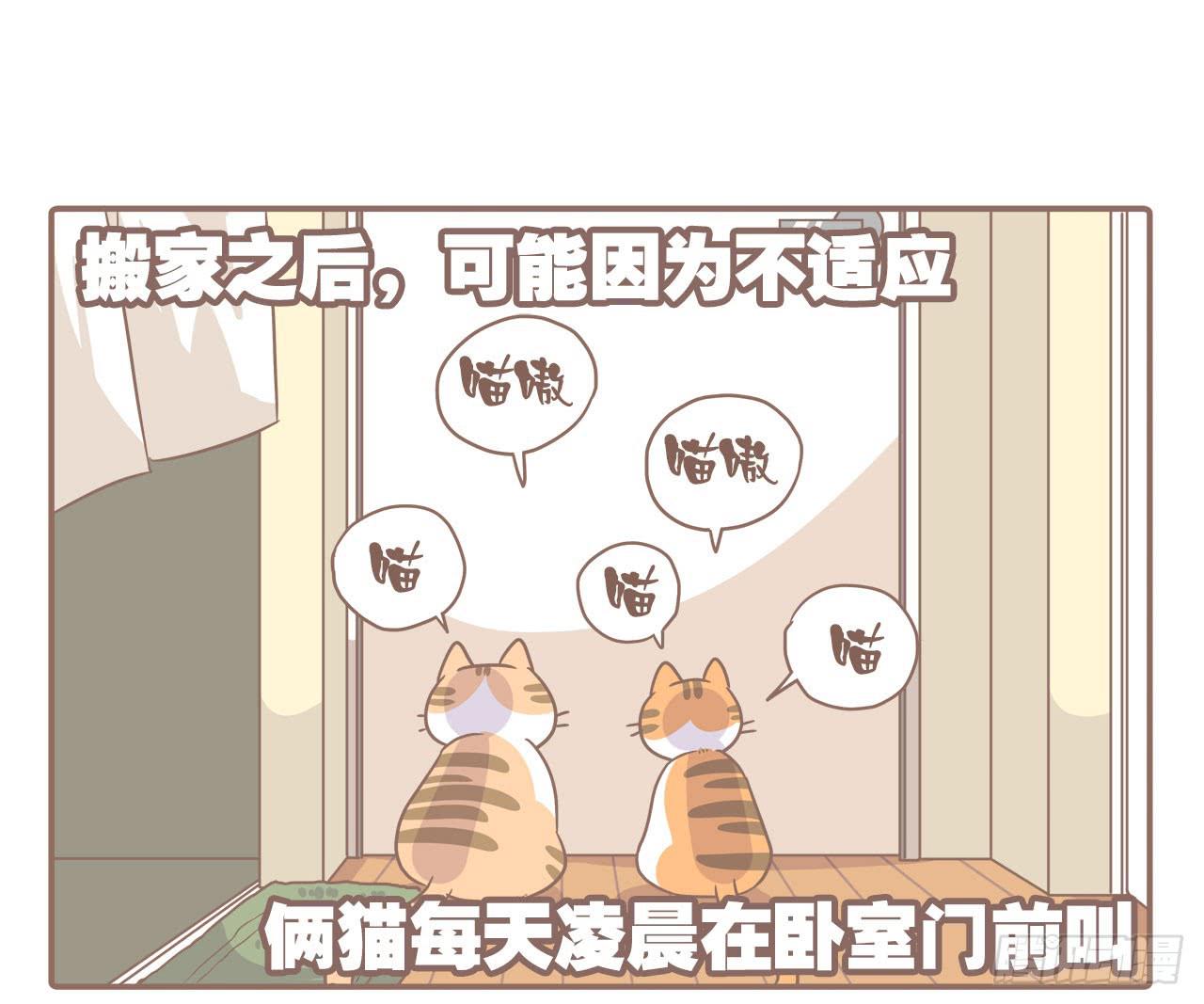 搬家了！29