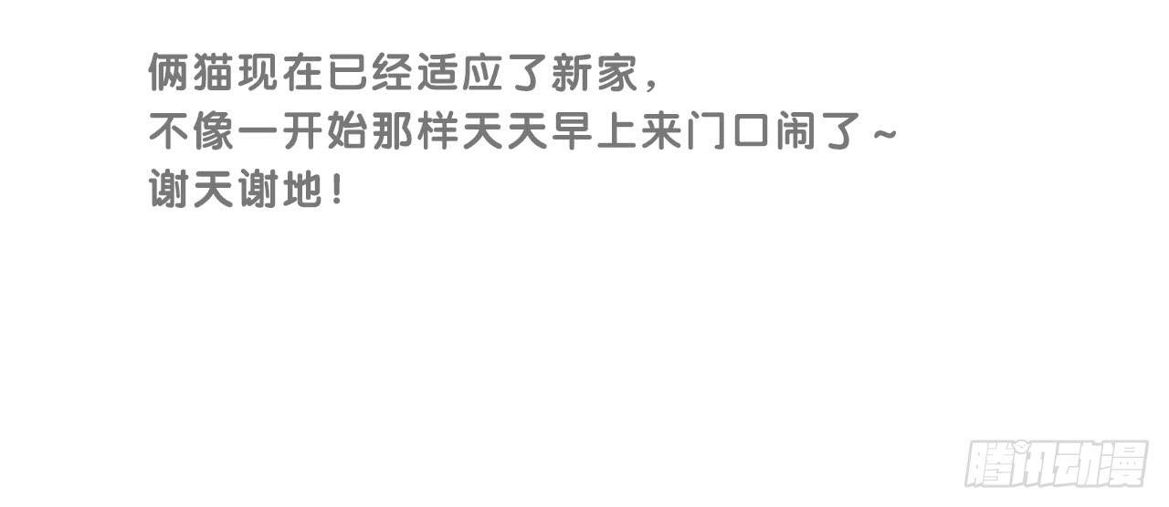 搬家了！44