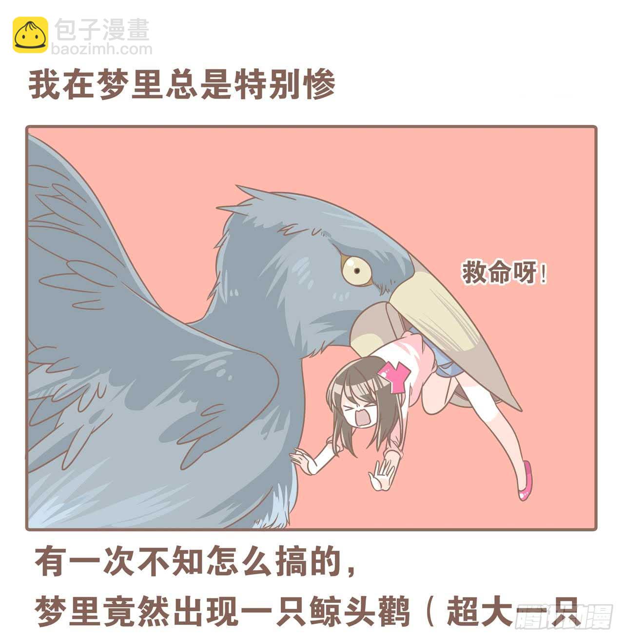 今天你做梦了吗12