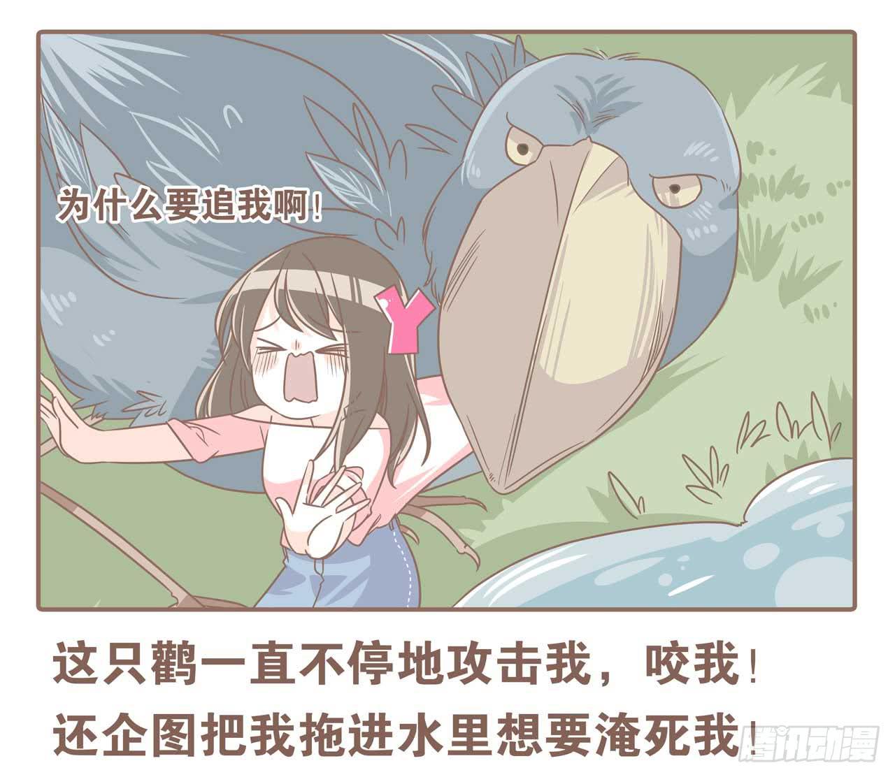 今天你做梦了吗13