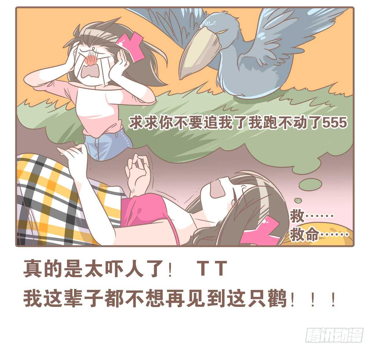 今天你做梦了吗15