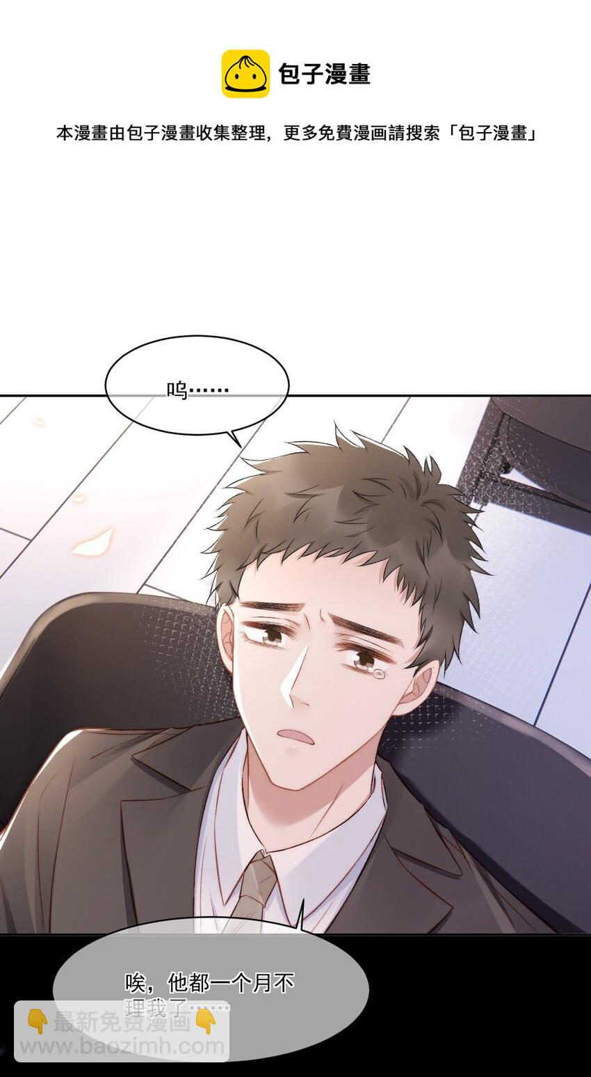016 孟总的婚约28