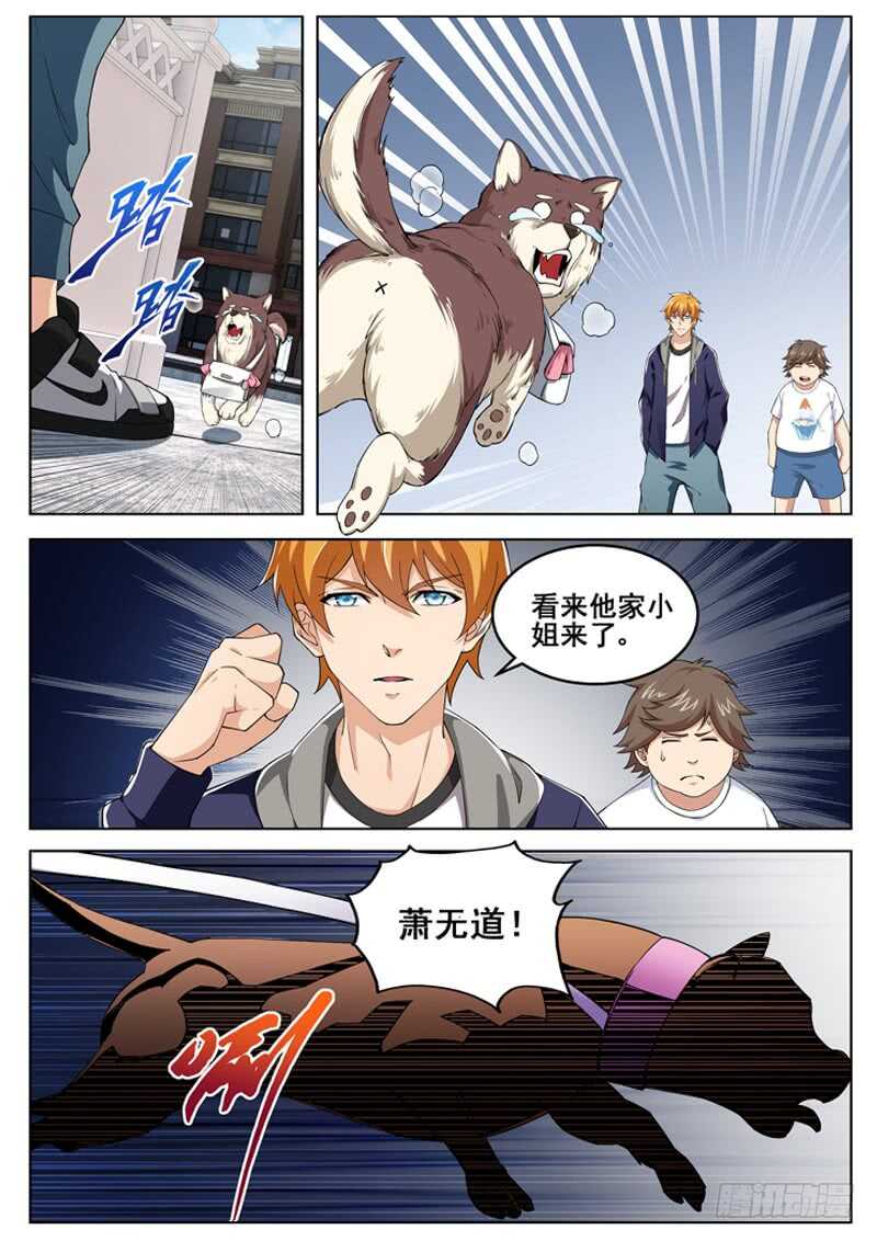 第六十九话 我家小姐10
