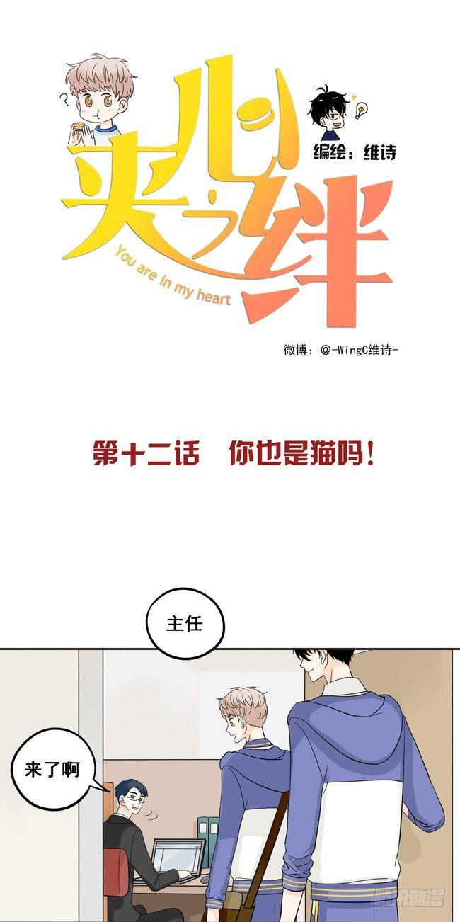 12 你也是猫吗！0