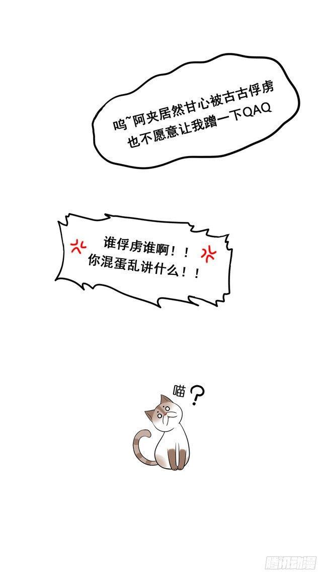 12 你也是猫吗！11