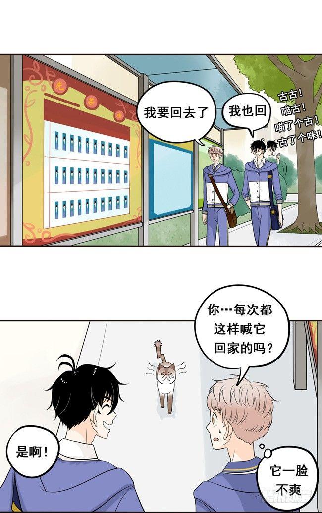 12 你也是猫吗！6