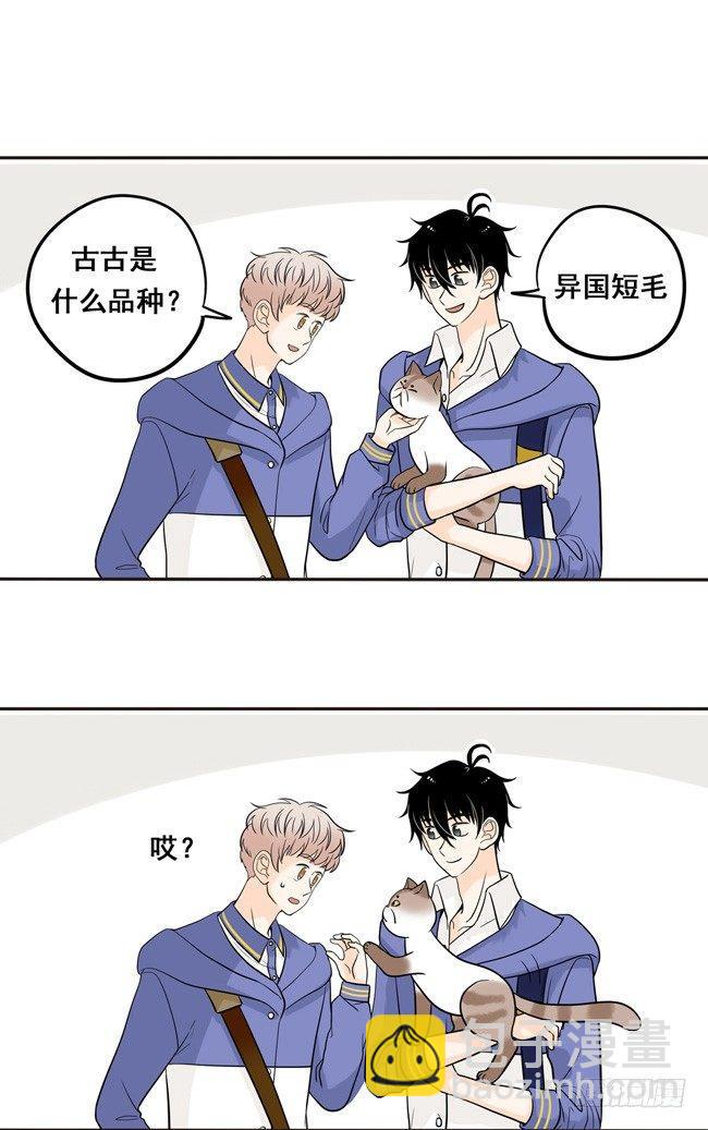 12 你也是猫吗！7