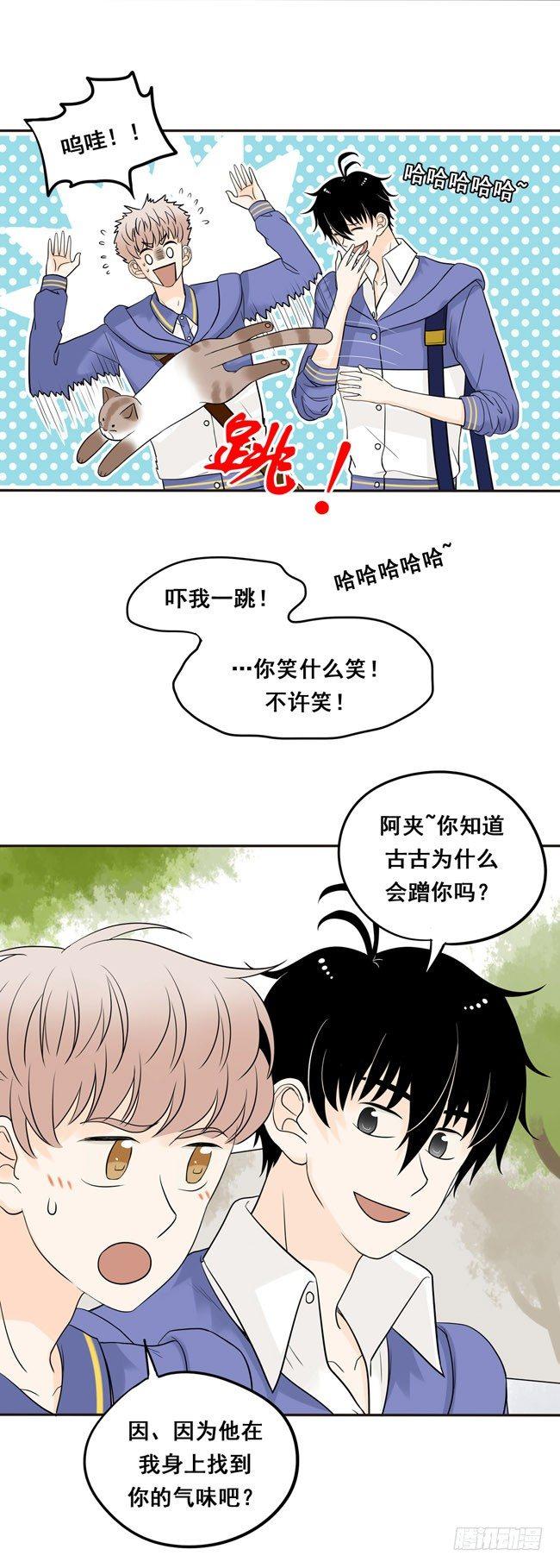 12 你也是猫吗！8