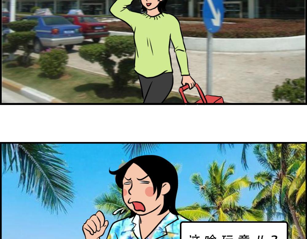 真正的深圳特产，来自海南？15