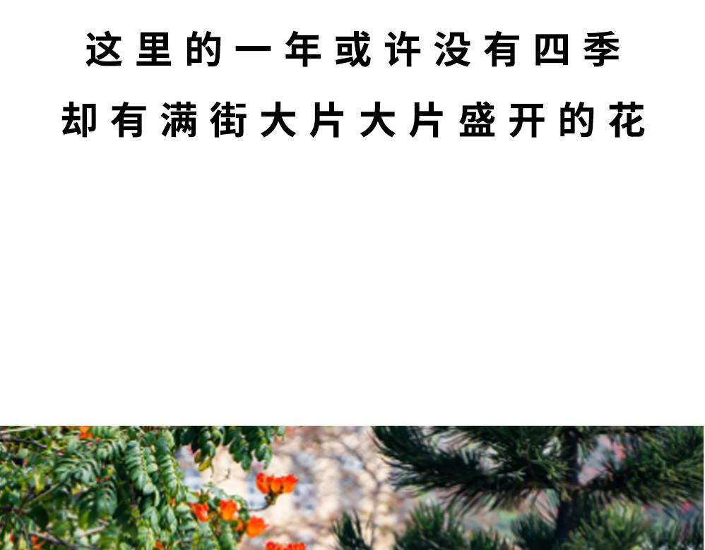 深圳人除了搞钱，还会搞啥？142