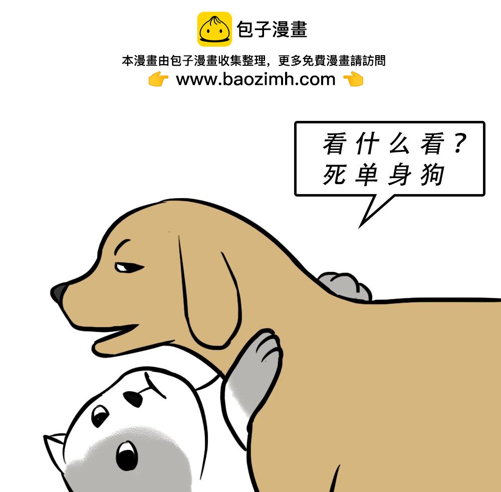 广东人的夜晚：啪啪啪啪啪啪啪啪1