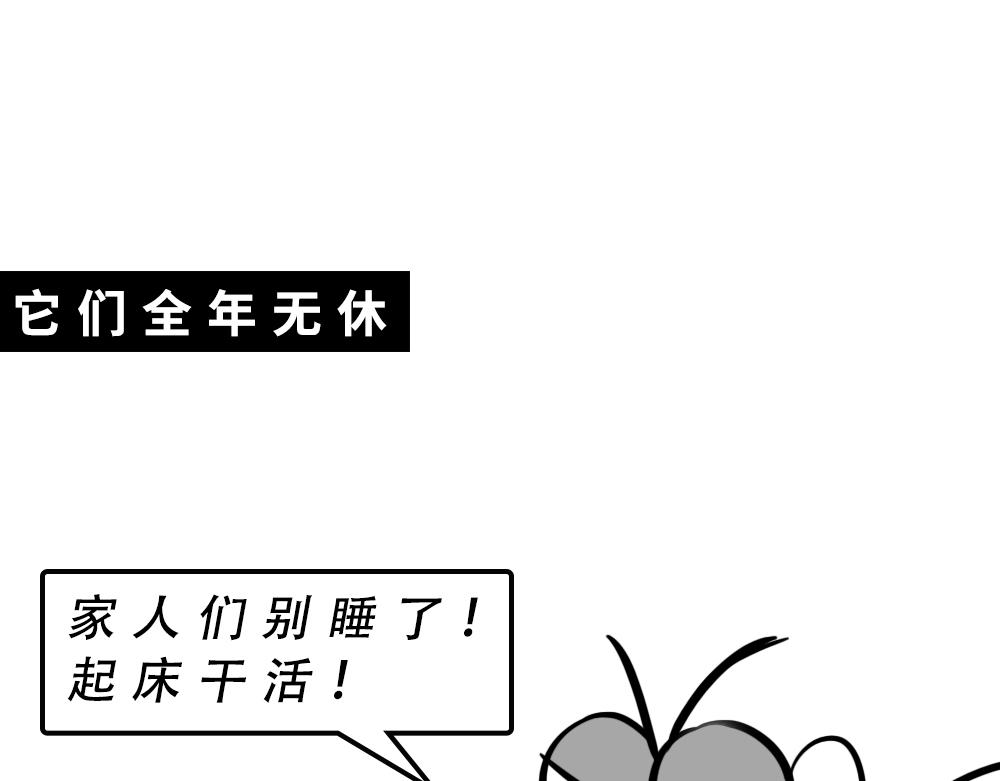 广东人的夜晚：啪啪啪啪啪啪啪啪18