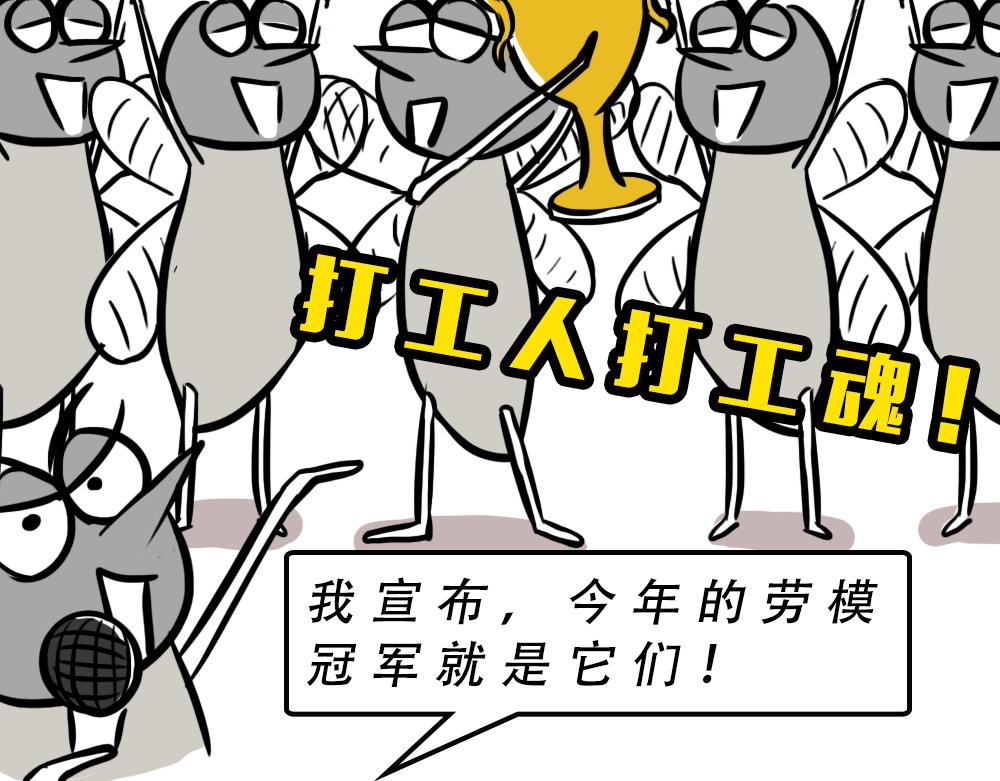 广东人的夜晚：啪啪啪啪啪啪啪啪22