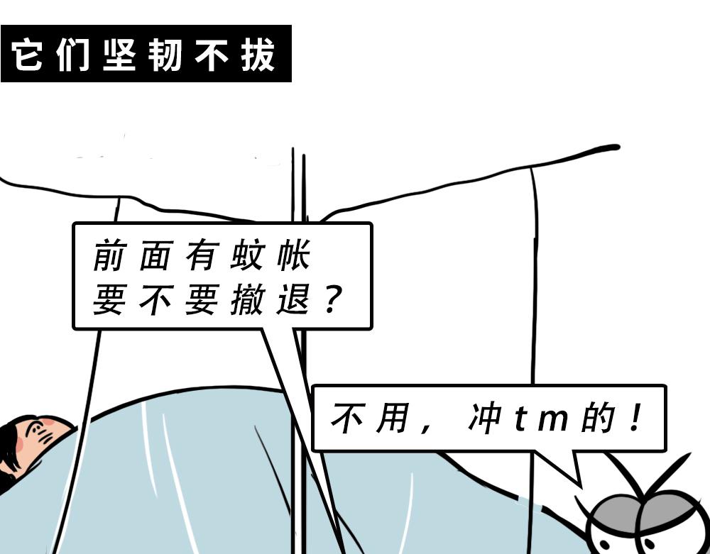 广东人的夜晚：啪啪啪啪啪啪啪啪24