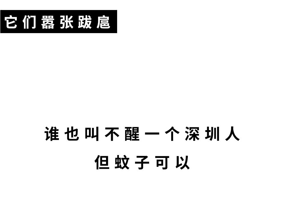 广东人的夜晚：啪啪啪啪啪啪啪啪38