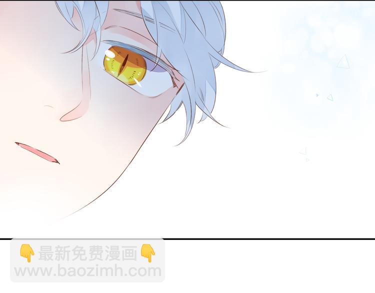 第49话 温暖的宝藏85