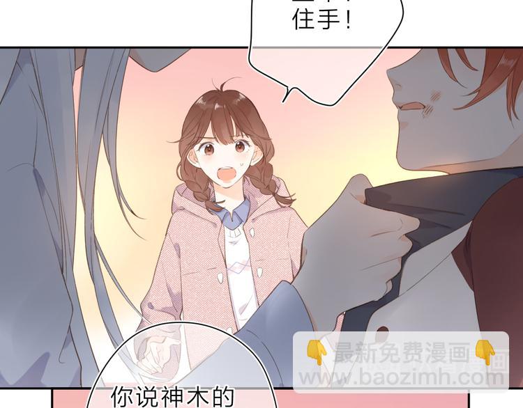 第13话 神木的恶化54