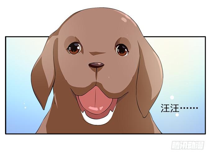 【鸢尾花2】短暂的幸福7
