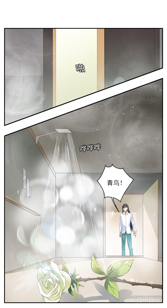 【白玫瑰1】一切的开端3