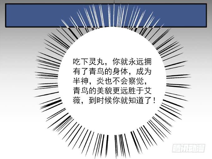 【白玫瑰4】镜子中的美丽10