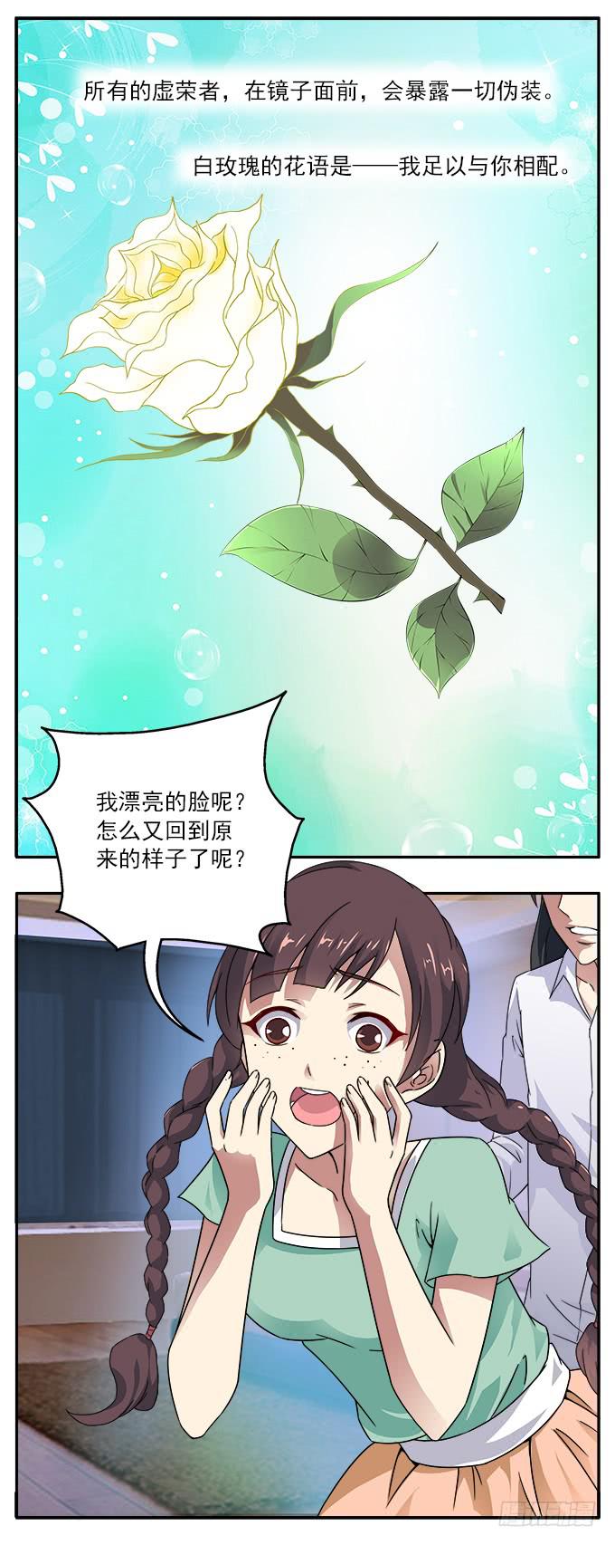 【白玫瑰4】镜子中的美丽16