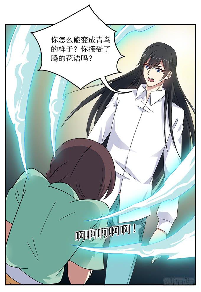 【白玫瑰4】镜子中的美丽17