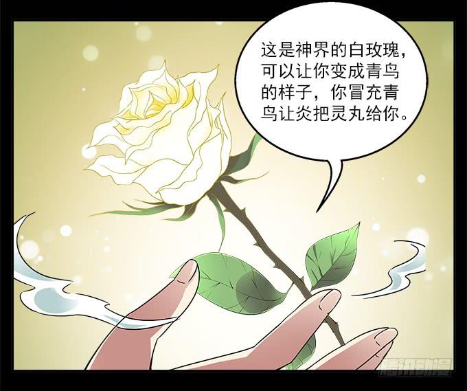 【白玫瑰4】镜子中的美丽7