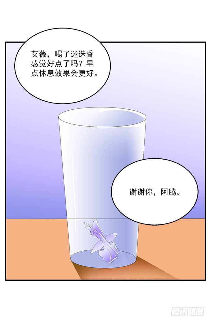【迷迭香2】我就是你的镜子1
