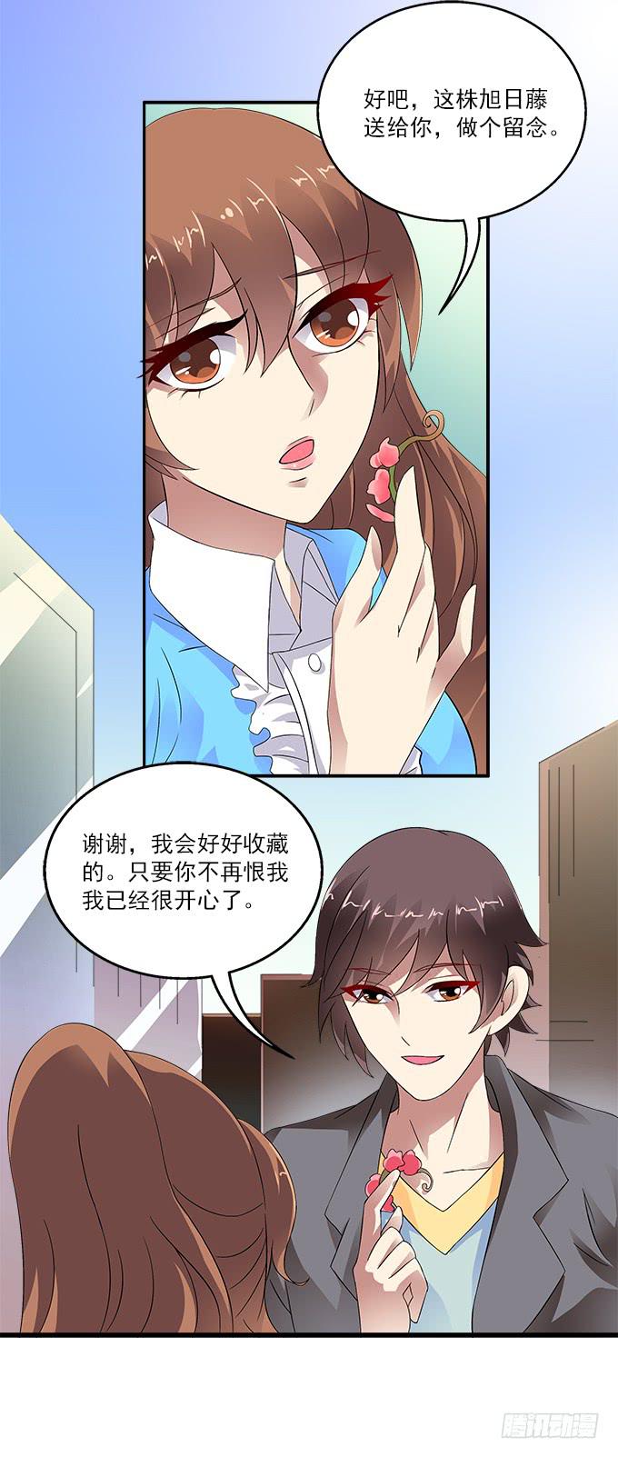 【旭日藤】20