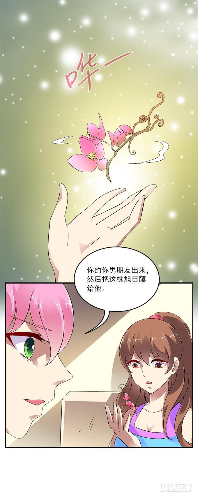 【旭日藤】9