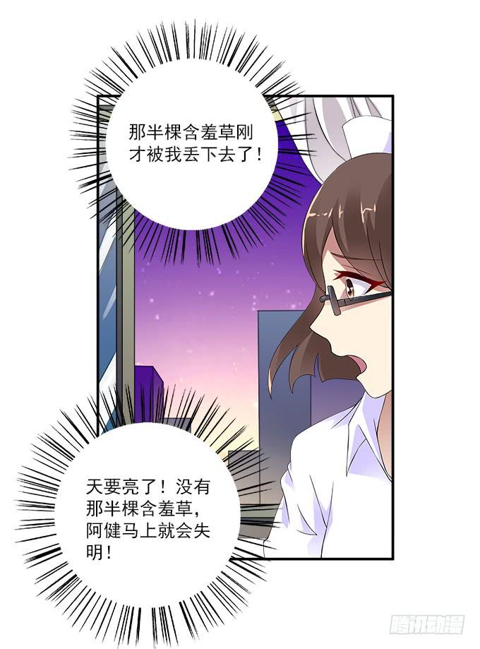 【含羞草2】23