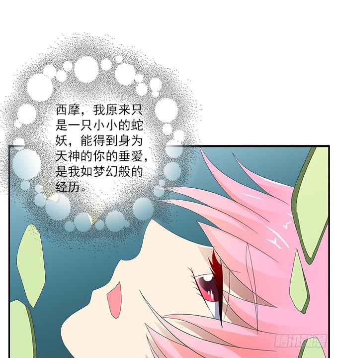 离珠的私心19