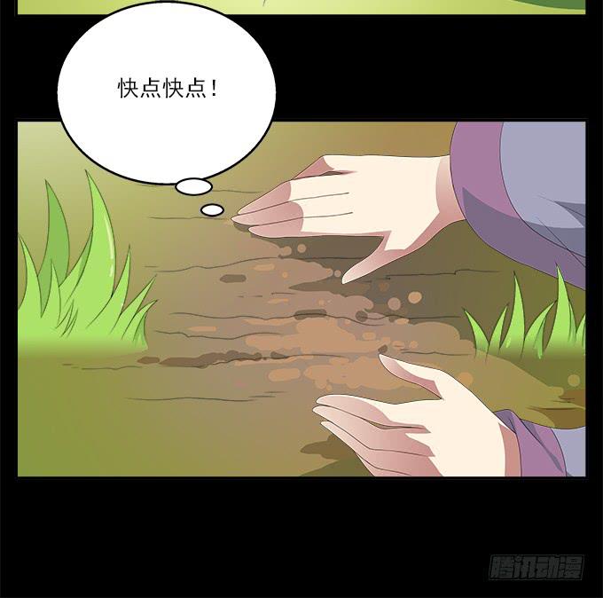 狗牙花27
