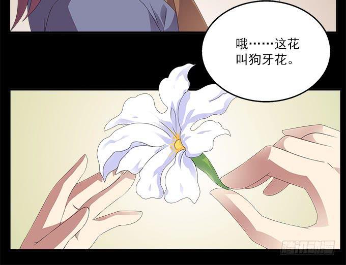 狗牙花36