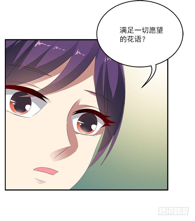 紫藤花店21