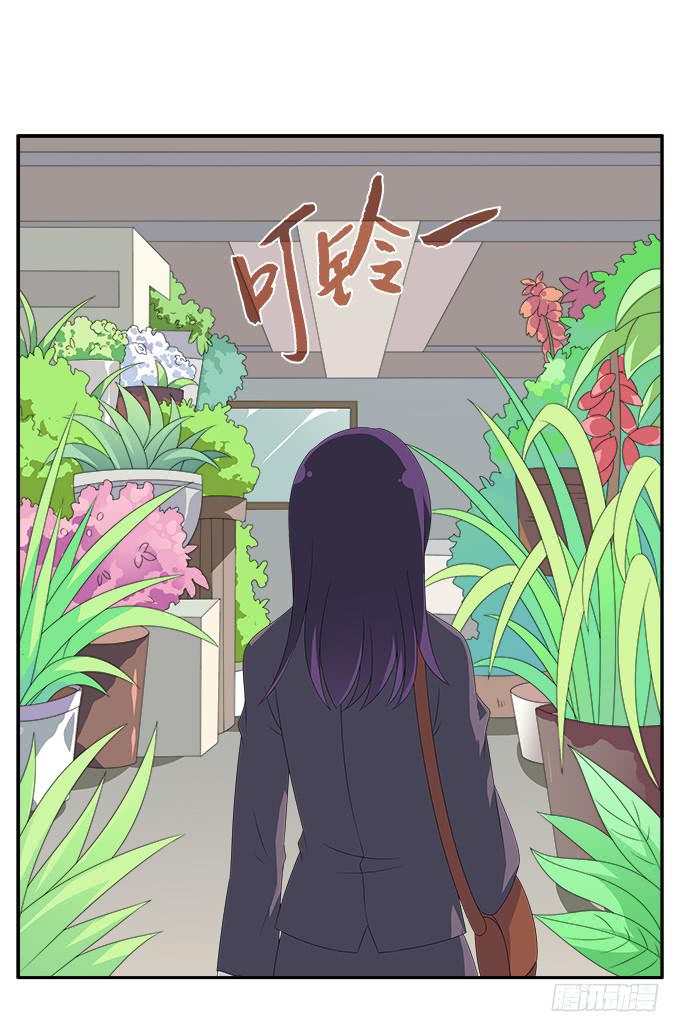 紫藤花店22