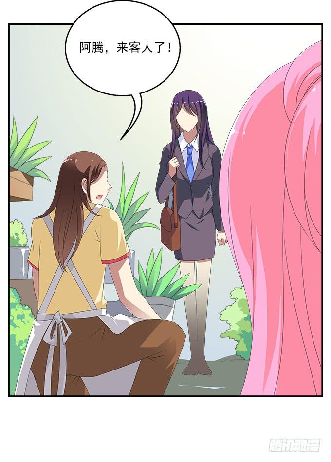 紫藤花店24