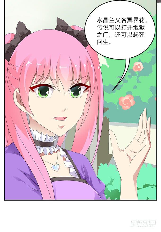 不速之客14