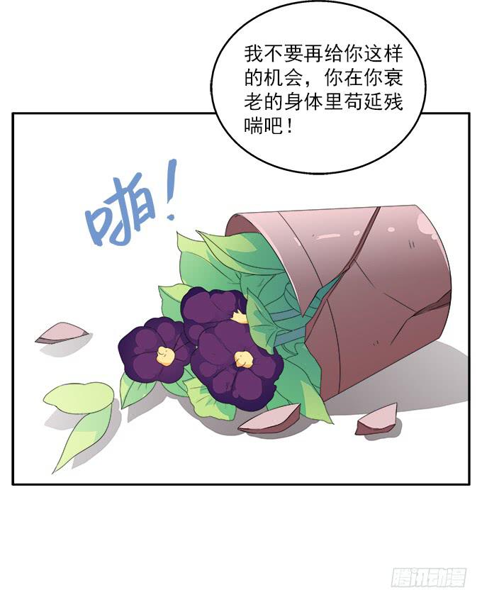 来世的选择36