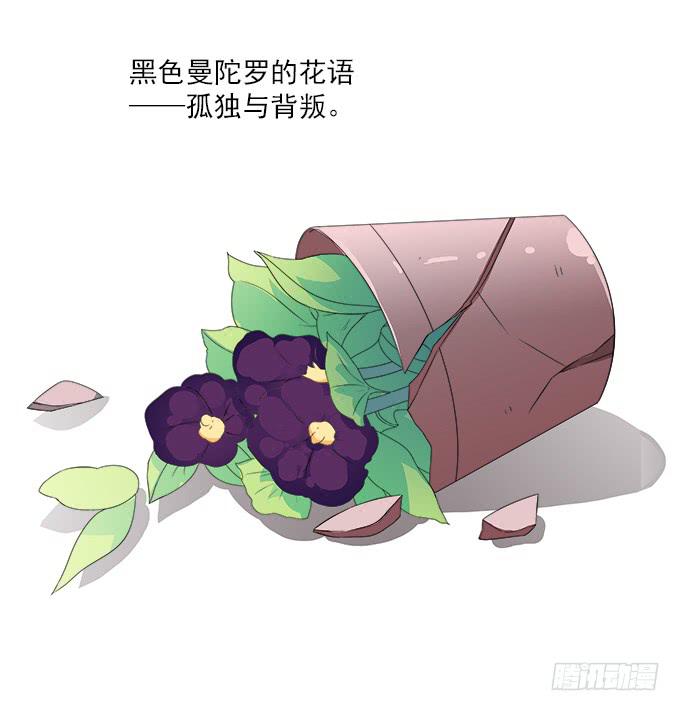 来世的选择41