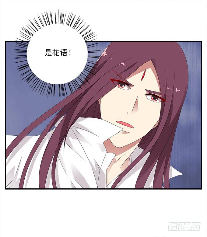 银莲花37