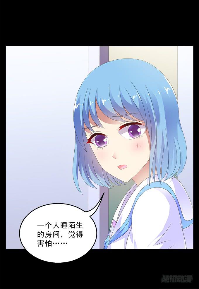 兔子，晚安11
